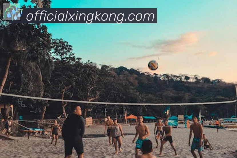 星空体育官网入口荣誉