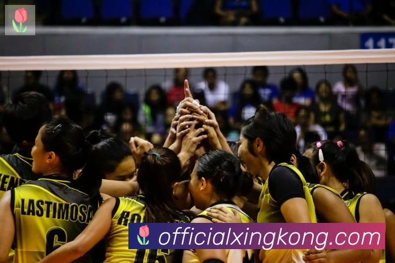 星空体育官网入口荣誉