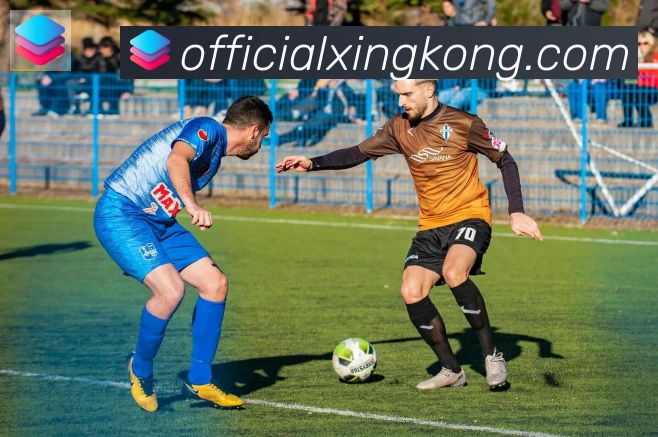 星空体育官网入口荣誉