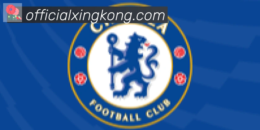 星空体育官网入口合作伙伴