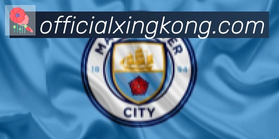 星空体育官网入口合作伙伴