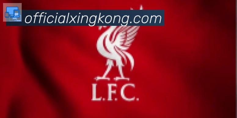 星空体育官网入口合作伙伴